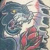 panther 1/2sleeve coverup