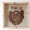Beehive Beard