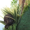 Kitty Island