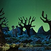 Frankenhole
Forest