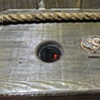 Nautical Arcade Automata Mechanique
