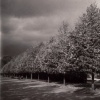 Green Park