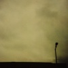 Telephone Pole, Los Angeles