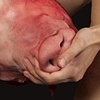Pig (triptych)