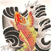 Koi
