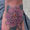 Japanese
