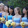 Bridesmaids