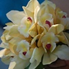 cymbidium bouquet