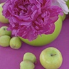 I'm in peony heaven