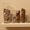 Bottlecap Economics, installation shot
