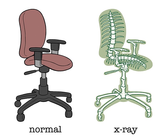 Office Chair Skeletal System