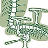 Office Chair Skeletal System