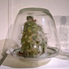 Strange Matter 
