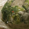 Strange Matter (uncovered)