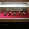 Timeline (II)