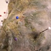 Strange Matter (detail)