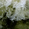 Gee's Bend river 7