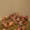 Brains