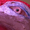 Cerebrus (detail)