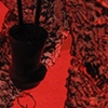 Q & A (detail)
