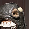 Mewl (detail)