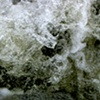 Gee's Bend river 4