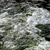 Gee's Bend river 13