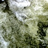 Gee's Bend river 1