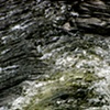 Gee's bend river 14