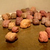 Brains