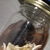 Rou (detail)
