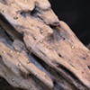 Tithe (detail)
