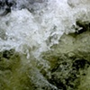 Gee's Bend river 2