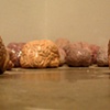 Brains detail