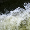 Gee's Bend river 12
