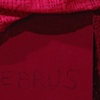 Cerebrus (detail)