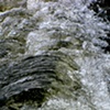 Gee's Bend river 13