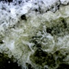 Gee's Bend river 10