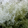 Gee's Bend river 6