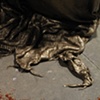 Mantle (detail)