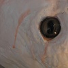 Nostalgia is a Vice (detail)