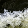 Gee's Bend river 11