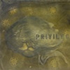 Privilege