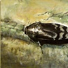 Body and Translation: Metamorphosis