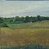 Sagaponack Landscape
