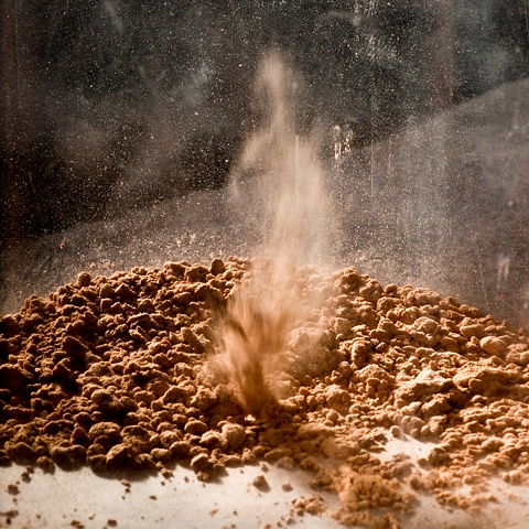 "the Origin of Pigment"