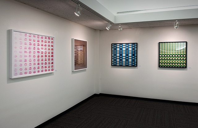 "Perceptual Beauty" 
custom framed metallic chromogenic prints