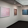 "Perceptual Beauty" 
custom framed metallic chromogenic prints