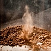 "the Origin of Pigment"
