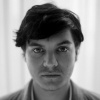 emile hirsch 